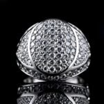 Reflections in Silver